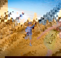Full-Day Pinnacles Desert and Yanchep National Park Tour From Perth - Yarra Valley Accommodation