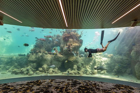 Whitehaven Beach And Daydream Island Cruise - Yarra Valley Accommodation 4