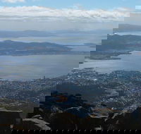 Mt Wellington Tour and MONA Admission - Yarra Valley Accommodation