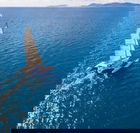 2-Night Whitsunday Islands Sailing Adventure on Trimaran Avatar - Yarra Valley Accommodation