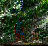 Full Day Daintree Rainforest and Mossman Gorge Tour - Yarra Valley Accommodation