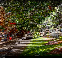 Fully Inclusive Blue Mountains Private Tour inc Scenic World  Featherdale entry - Yarra Valley Accommodation