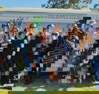 Full Day Mount Tamborine Winery Tour from Gold Coast - Yarra Valley Accommodation
