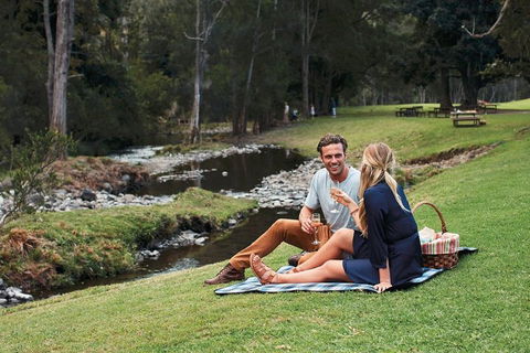 Mt Tamborine - Hinterland Wonders Self Guided - Yarra Valley Accommodation 0