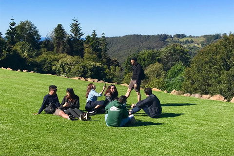 Mt Tamborine - Hinterland Wonders Self Guided - Yarra Valley Accommodation 1