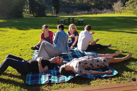 Mt Tamborine - Hinterland Wonders Self Guided - Yarra Valley Accommodation 2