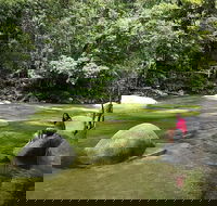 Daintree Dreaming Traditional Aboriginal Fishing from Cairns or Port Douglas - Yarra Valley Accommodation