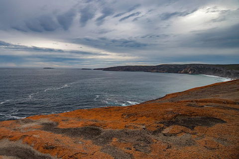 Kangaroo Island Luxury Small Group 'Flinders Chase Focus' Full Day Tour - Yarra Valley Accommodation 0