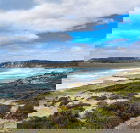 Kangaroo Island Luxury Small Group 'East End Explorer' Full Day Tour - Yarra Valley Accommodation