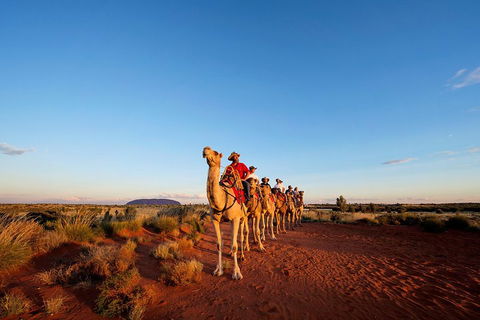 Uluru Small-Group Tour By Camel At Sunrise Or Sunset - Yarra Valley Accommodation 3