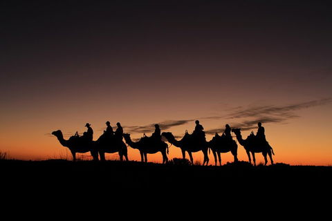 Uluru Small-Group Tour By Camel At Sunrise Or Sunset - Yarra Valley Accommodation 4