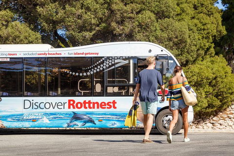 Discover Rottnest With Ferry & Bus Tour From Perth Or Fremantle - Yarra Valley Accommodation 1