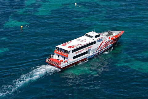 Discover Rottnest With Ferry & Bus Tour From Perth Or Fremantle - Yarra Valley Accommodation 3
