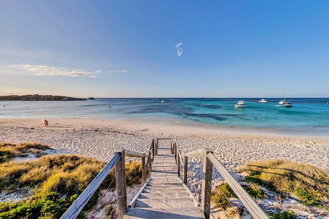 Discover Rottnest With Ferry & Bus Tour From Perth Or Fremantle - Yarra Valley Accommodation 4
