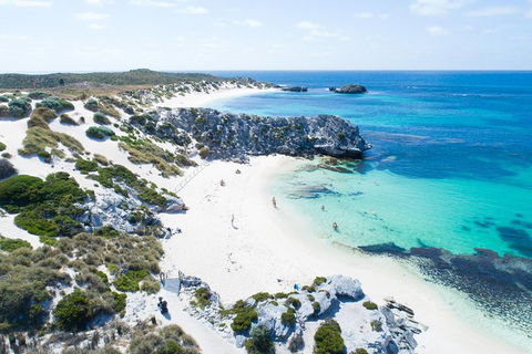 Discover Rottnest With Ferry & Bus Tour From Perth Or Fremantle - Yarra Valley Accommodation 5