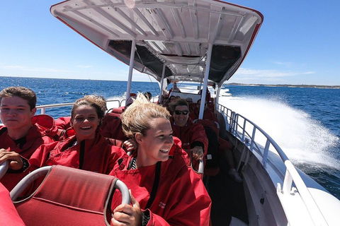 Adventure Rottnest Tour With Ferry & Adventure Cruise From Perth Or Fremantle - Yarra Valley Accommodation 0
