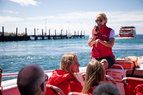 Adventure Rottnest Tour With Ferry & Adventure Cruise From Perth Or Fremantle - Yarra Valley Accommodation 4
