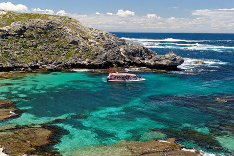 Adventure Rottnest Tour With Ferry & Adventure Cruise From Perth Or Fremantle - Yarra Valley Accommodation 5