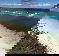Experience Rottnest with Ferry  Bike Hire from Perth or Fremantle - Yarra Valley Accommodation