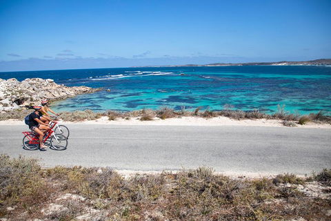Experience Rottnest With Ferry & Bike Hire From Perth Or Fremantle - Yarra Valley Accommodation 2