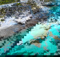 Rottnest Island Round-Trip Ferry from Perth or Fremantle - Yarra Valley Accommodation
