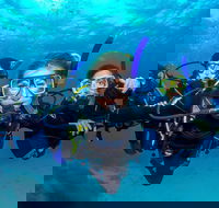 Great Barrier Reef Diving and Snorkeling Cruise from Cairns - Yarra Valley Accommodation