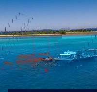 Ocean Free Green Island  Great Barrier Reef Snorkel Cruise Cairns 25 guests - Yarra Valley Accommodation