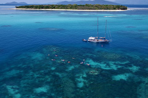 Ocean Free Green Island & Great Barrier Reef Snorkel Cruise, Cairns 25 Guests - Yarra Valley Accommodation 2