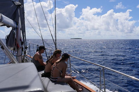 Ocean Free Green Island & Great Barrier Reef Snorkel Cruise, Cairns 25 Guests - Yarra Valley Accommodation 4