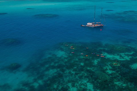 Ocean Free Green Island & Great Barrier Reef Snorkel Cruise, Cairns 25 Guests - Yarra Valley Accommodation 5