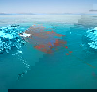 Ocean Freedom Great Barrier Reef Personal Luxury Snorkel  Dive Cruise Cairns - Yarra Valley Accommodation