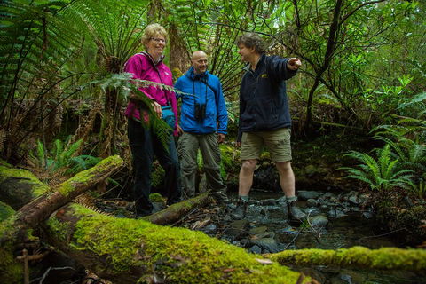 Bruny Island Traveller - Gourmet Tasting And Sightseeing Day Trip From Hobart - Yarra Valley Accommodation 1