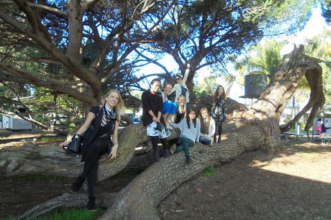 1/2 Day Swan Valley Wine Cheese & Chocolate Tour Inc Afternoon Cruise To Perth - Yarra Valley Accommodation 0