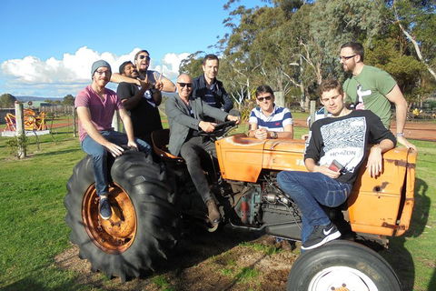1/2 Day Swan Valley Wine Cheese & Chocolate Tour Inc Afternoon Cruise To Perth - Yarra Valley Accommodation 1