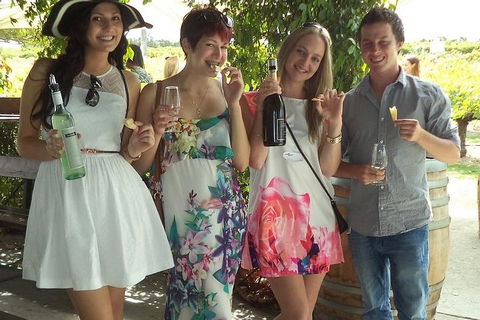 1/2 Day Swan Valley Wine Cheese & Chocolate Tour Inc Afternoon Cruise To Perth - Yarra Valley Accommodation 4