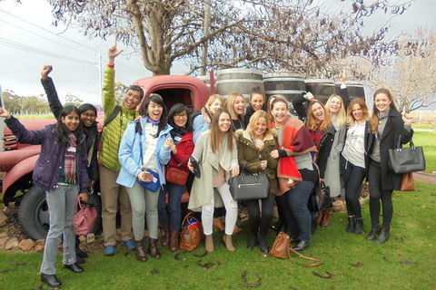 1/2 Day Swan Valley Wine Cheese & Chocolate Tour Inc Afternoon Cruise To Perth - Yarra Valley Accommodation 5