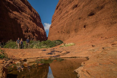 4 Day/3 Night Perentie Dreaming Safari - Yarra Valley Accommodation 3
