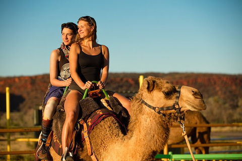 4 Day/3 Night Perentie Dreaming Safari - Yarra Valley Accommodation 4