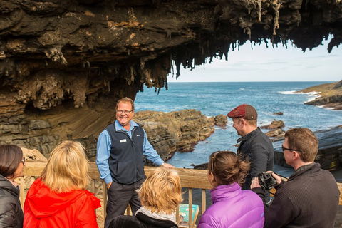 Kangaroo Island In A Day Tour From Adelaide - Yarra Valley Accommodation 3