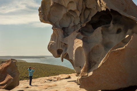 Kangaroo Island In A Day Tour From Adelaide - Yarra Valley Accommodation 5