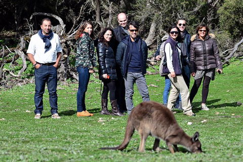 2-Day Kangaroo Island 4WD Small-Group Tour From Adelaide - Yarra Valley Accommodation 1