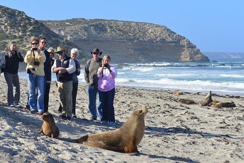 2-Day Kangaroo Island 4WD Small-Group Tour From Adelaide - Yarra Valley Accommodation 3