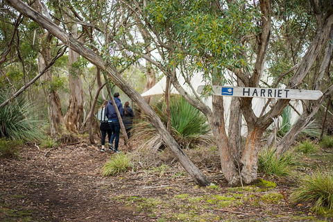 2-Day Kangaroo Island 4WD Small-Group Tour From Adelaide - Yarra Valley Accommodation 5