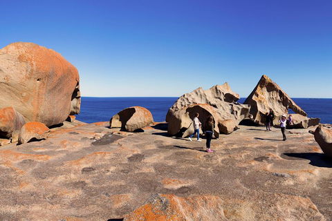 Full-Day Kangaroo Island Experience Departing From Kangaroo Island - Yarra Valley Accommodation 4