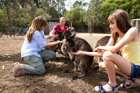 Full-Day Kangaroo Island Experience Departing From Kangaroo Island - Yarra Valley Accommodation 5