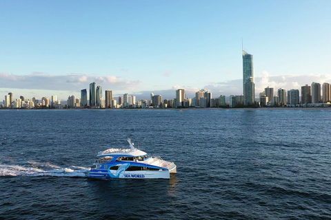 Whale Watching By Sea World Cruises - Yarra Valley Accommodation 1