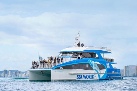 Whale Watching By Sea World Cruises - Yarra Valley Accommodation 3