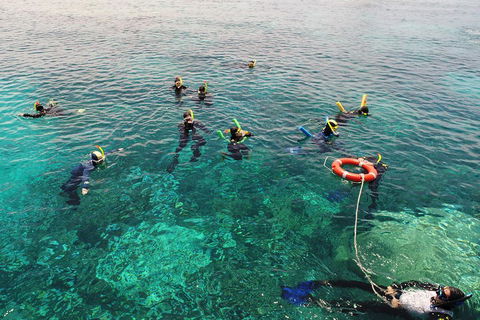 Seastar Luxury Outer Great Barrier Reef Island And Reef Tour From Cairns - Yarra Valley Accommodation 2