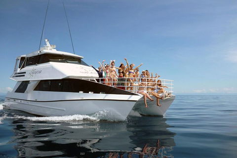 Seastar Luxury Outer Great Barrier Reef Island And Reef Tour From Cairns - Yarra Valley Accommodation 4