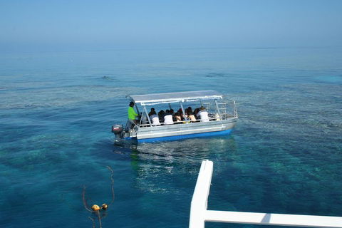 Seastar Luxury Outer Great Barrier Reef Island And Reef Tour From Cairns - Yarra Valley Accommodation 5